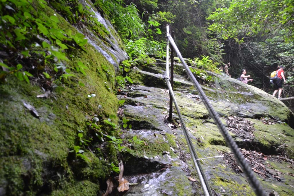 DSC_0512.jpg