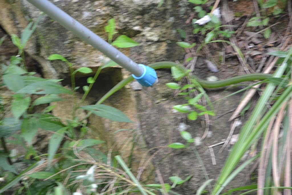 DSC_0554.jpg