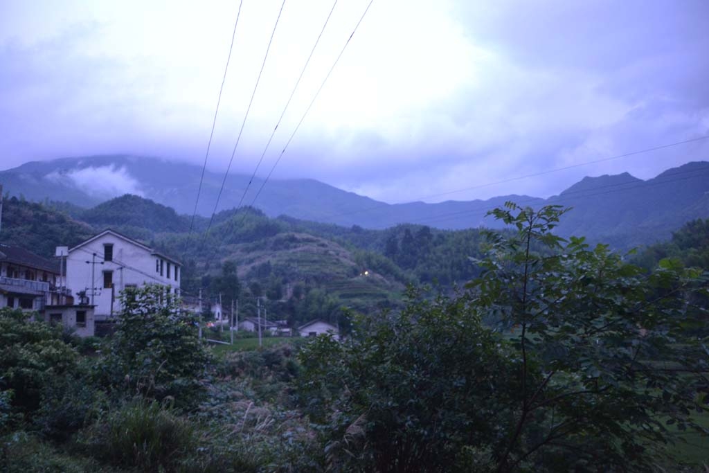 DSC_0637.jpg