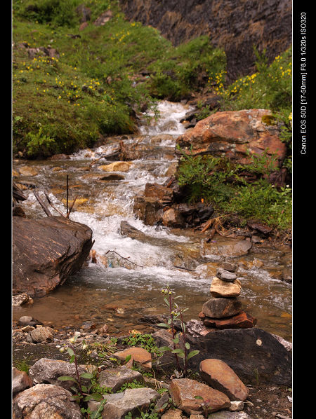 DPP_0283.jpg