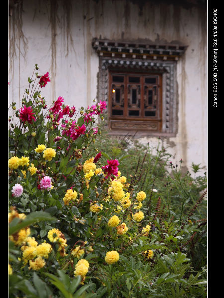 DPP_0350.jpg