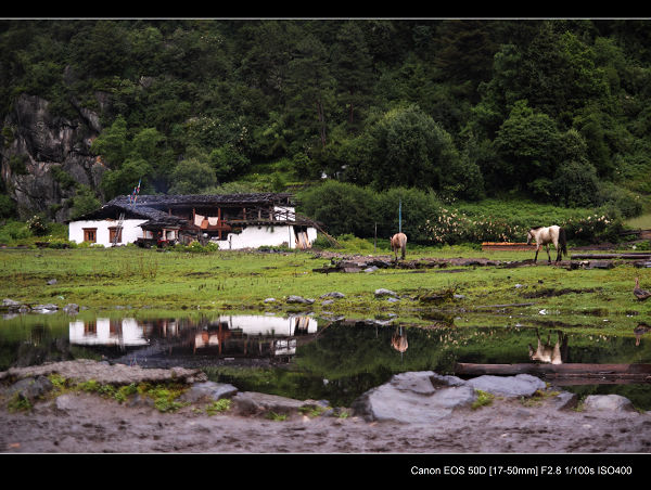 DPP_0354.jpg