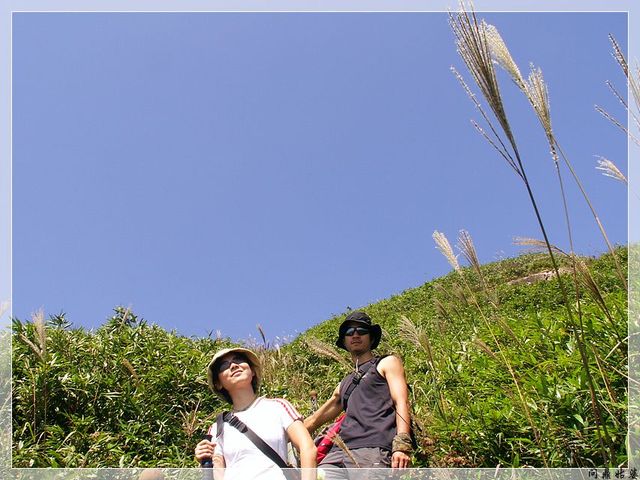 PICT9661.jpg