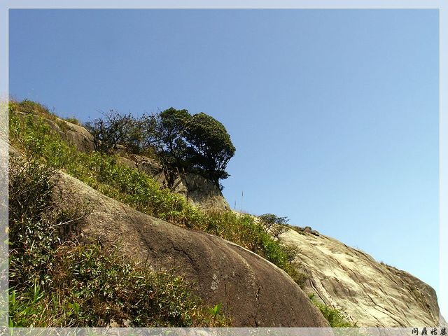 PICT9663.jpg