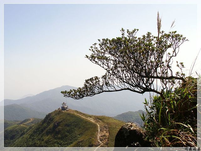PICT9664.jpg