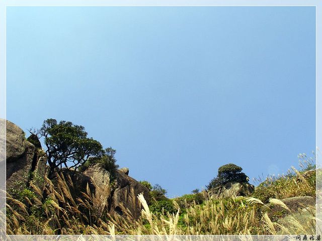 PICT9670.jpg