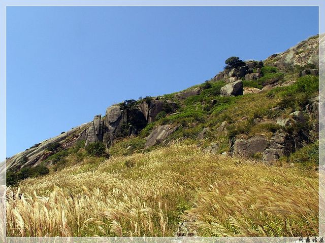 PICT9678.jpg