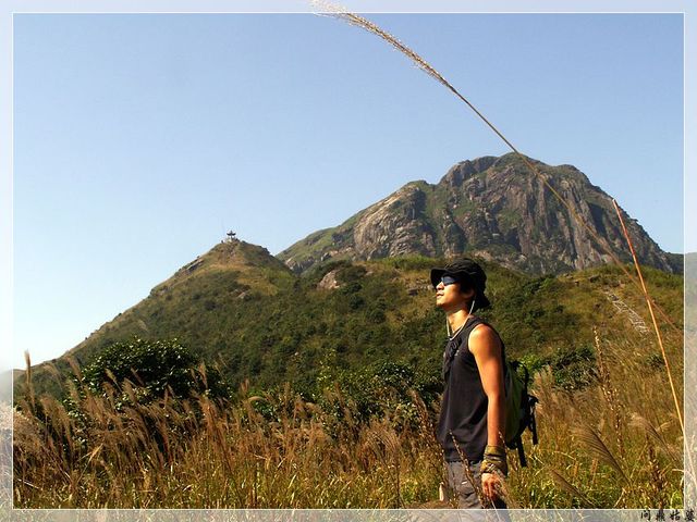 PICT9695.jpg