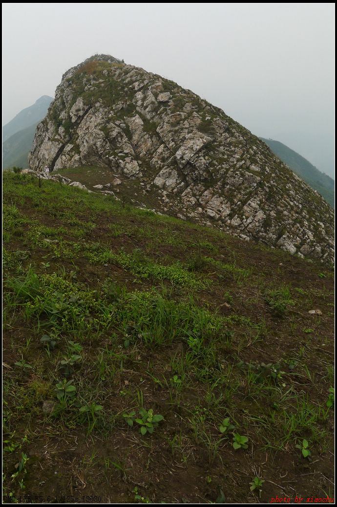 P1000325.jpg
