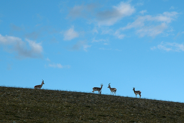 DSC_9899.JPG