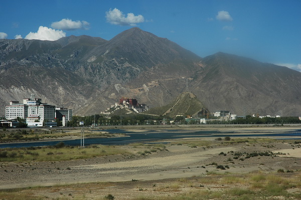 DSC_7374.jpg