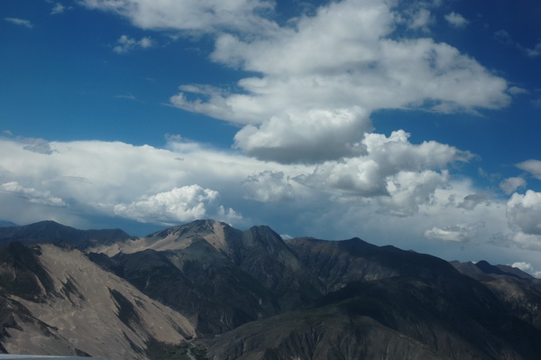 DSC_7333.jpg