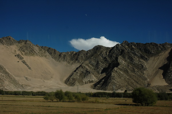 DSC_7369.jpg