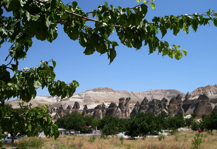 DSCN5779.jpg
