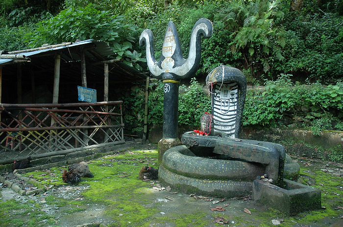 DSC_0537.JPG