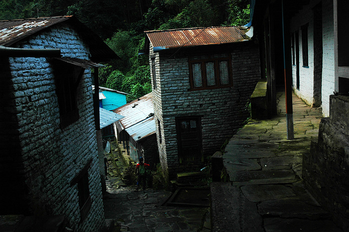 DSC_0675.JPG