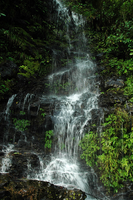 DSC_0656.JPG