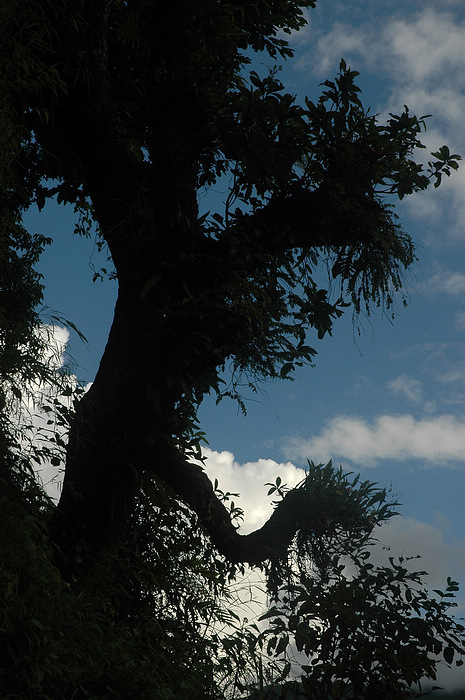 DSC_0661.JPG