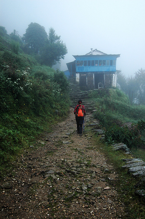 DSC_0775.JPG