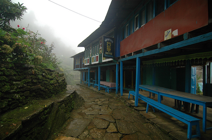 DSC_0781.JPG
