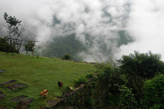 DSC_0759.JPG