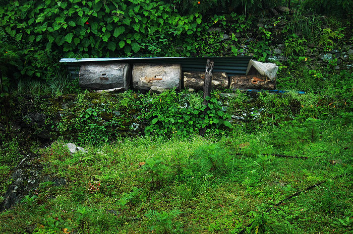 DSC_0766.JPG