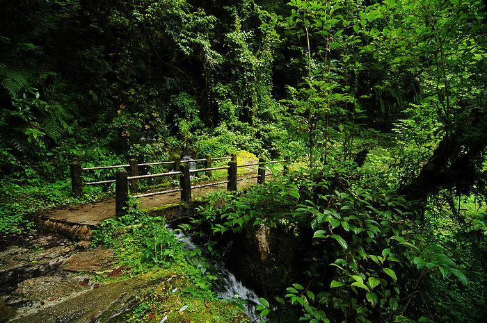 DSC_0805.JPG