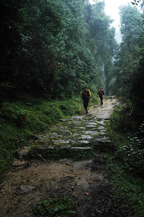DSC_0789.JPG