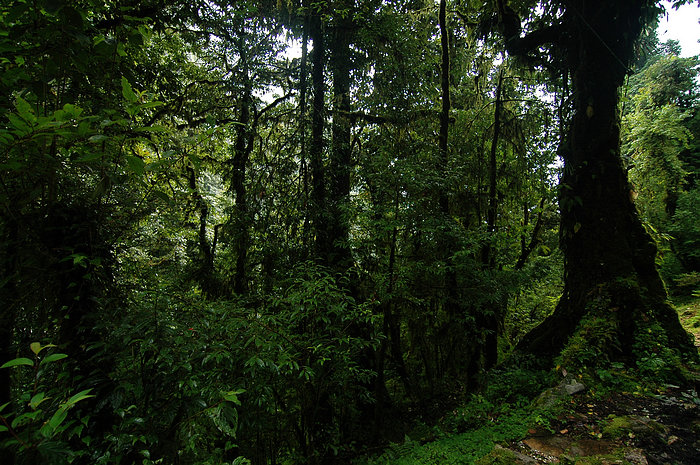 DSC_0804.JPG