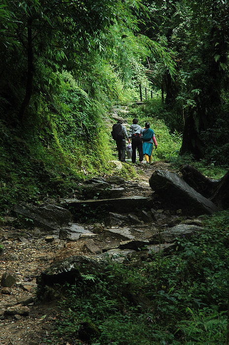DSC_0852.JPG