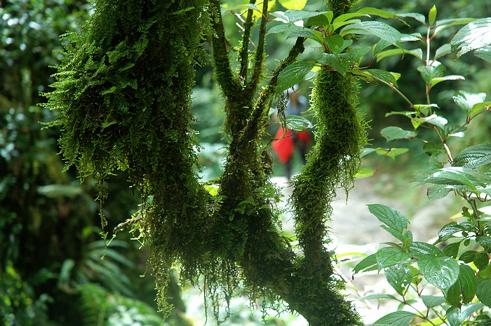 DSC_0856.JPG