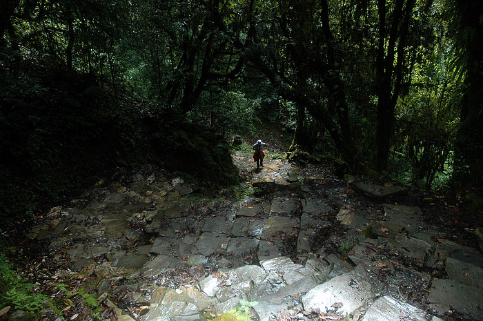 DSC_0879.JPG