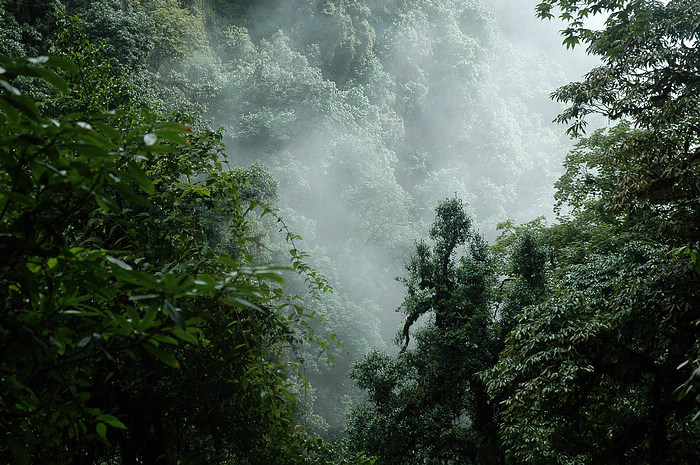 DSC_0830.JPG