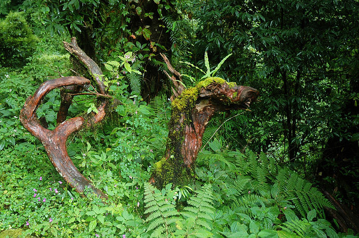 DSC_0835.JPG