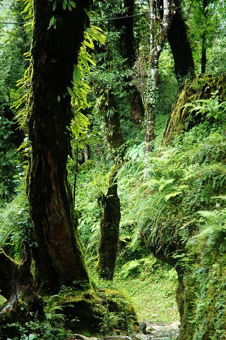 DSC_0886.JPG