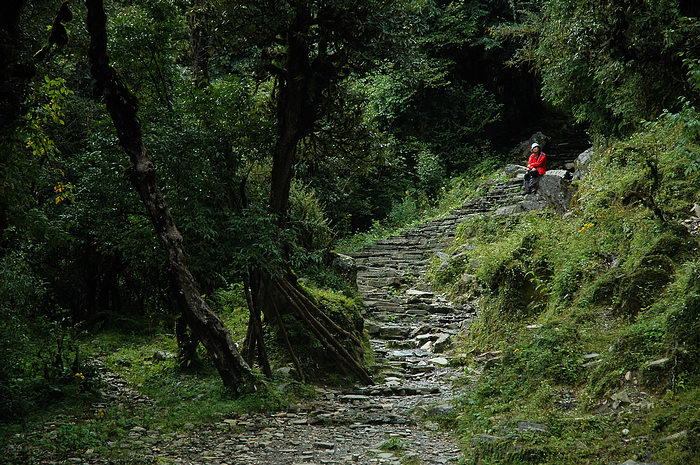 DSC_0986.JPG