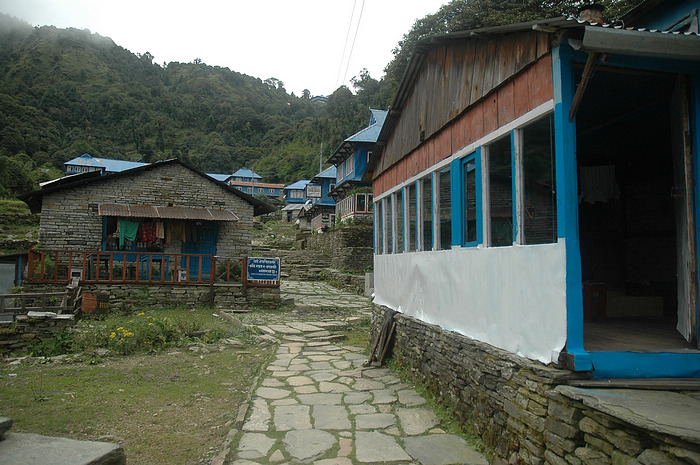 DSC_0997.JPG
