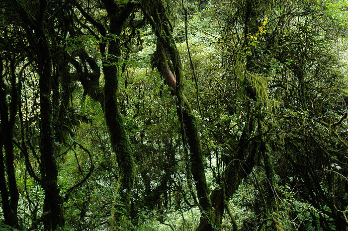 DSC_0984.JPG