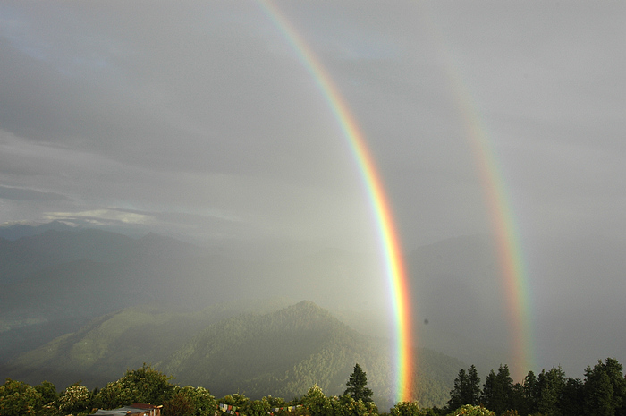 DSC_1174.JPG