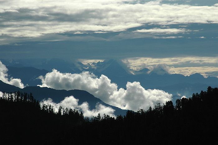 DSC_1293.JPG