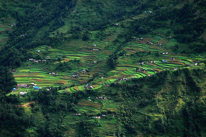 DSC_1280.JPG