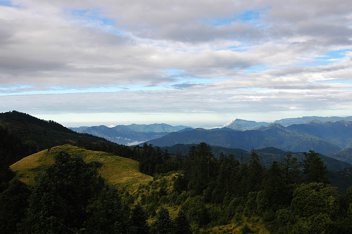 DSC_1330.JPG