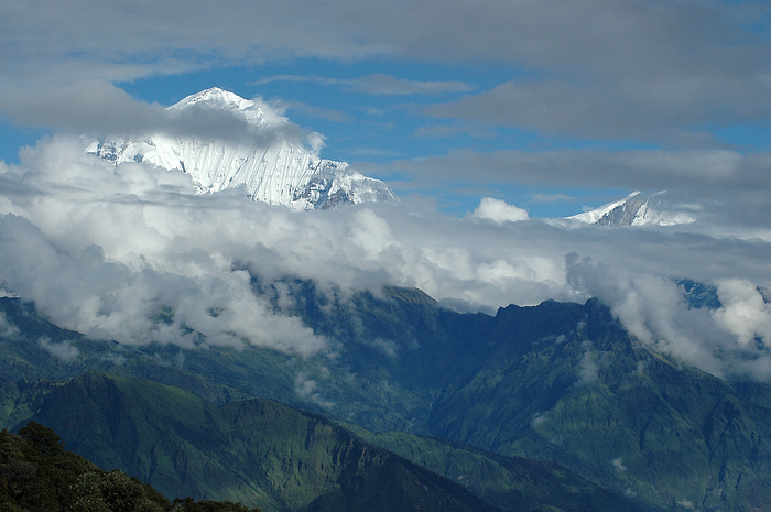DSC_1390.JPG