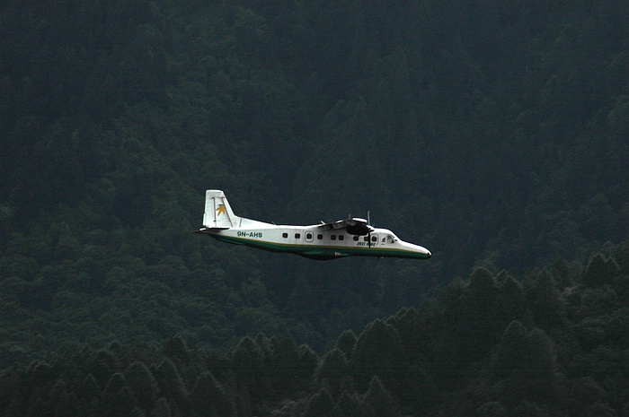 DSC_1381.JPG