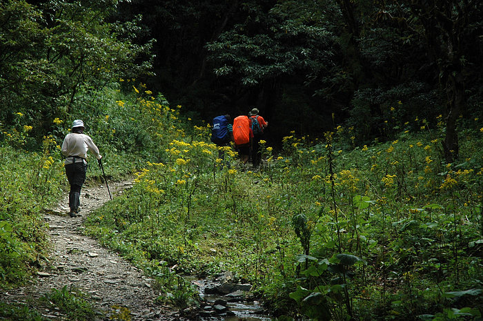 DSC_1434.JPG