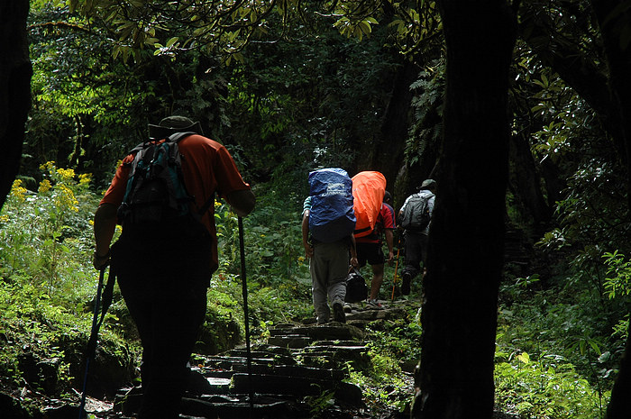 DSC_1436.JPG