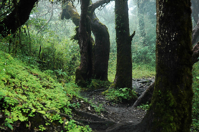 DSC_1479.JPG