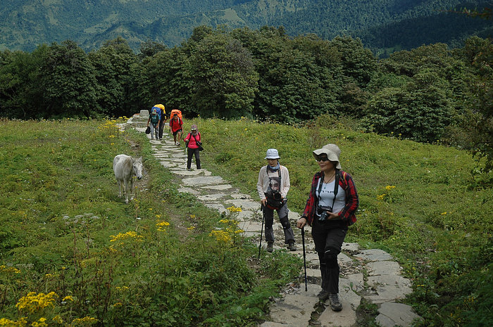 DSC_1453.JPG