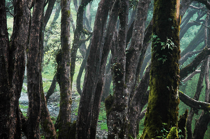 DSC_1491.JPG