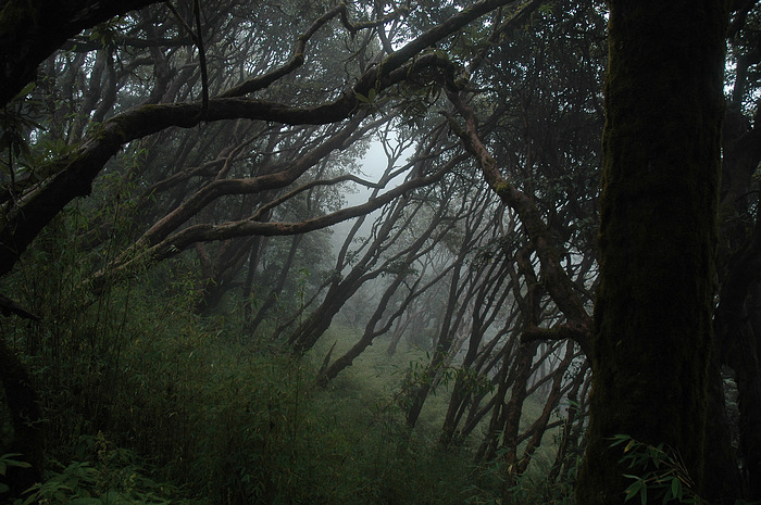 DSC_1483.JPG